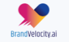 Brand Velocity AI Logo